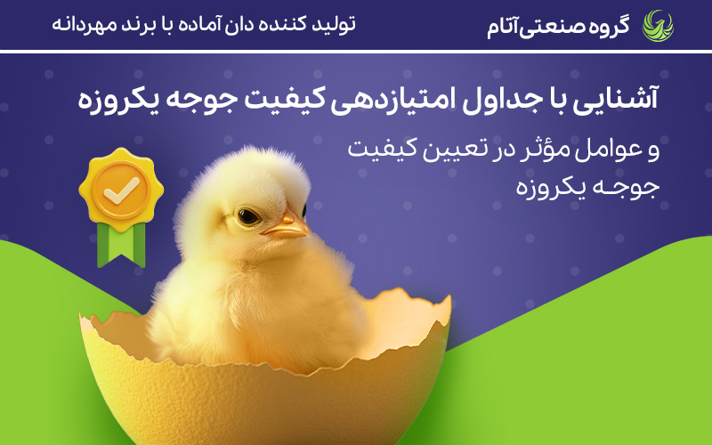 معیارهای تعیین کیفیت جوجه یکروزه